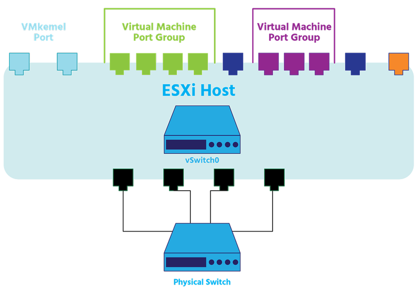 What are Virtual Switches and Standard Switches?